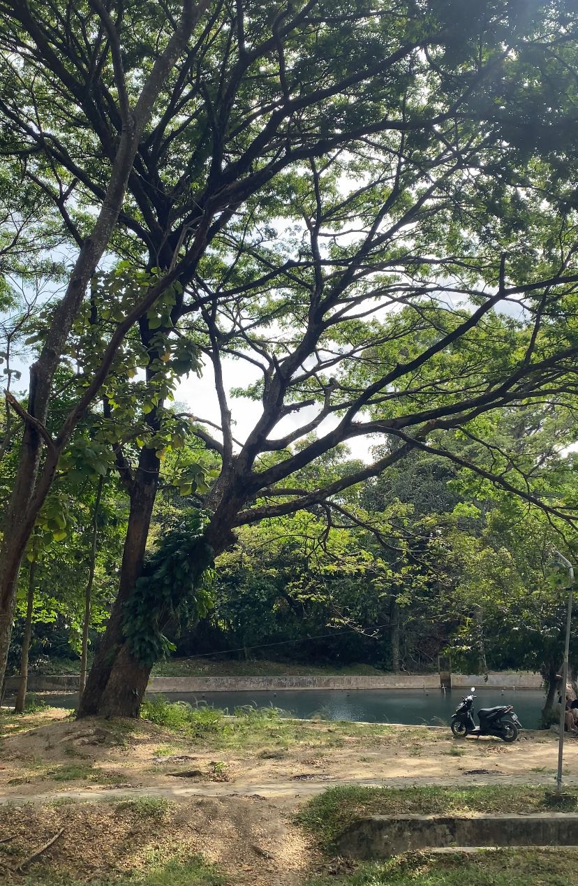 Area sekitar Ubalan